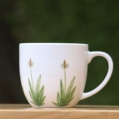 Porcelánový hrnček s obrázkom 3 - Skorocel