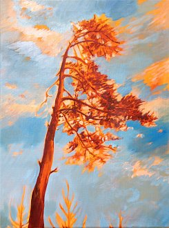 Obraz Strom Koruna - olejomaľba na plátne