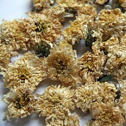 Kvet chryzantémy (ju-hua)